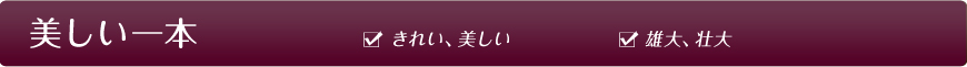 美しい一本 きれい、美しい 雄大、壮大