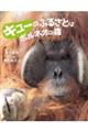 キューのふるさとはボルネオの森