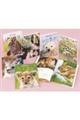 教科書にのってるどうぶつの赤ちゃん(全6巻セット)