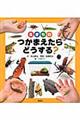 生きものつかまえたらどうする?