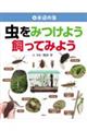 虫をみつけよう・飼ってみよう 4