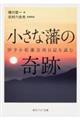 小さな藩の奇跡