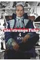 Fate/strange Fake 4 新装版