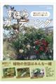 �͂炵�܂����Ă����������ǂ蒅�����I���ڂ�K�[�f�j���O