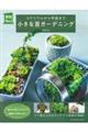 小さな苔ガーデニング