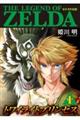 ゼルダの伝説トワイライトプリンセス 1