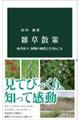 雑草散策