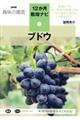 �u�h�E