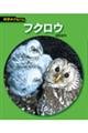 �t�N���E�@�V����