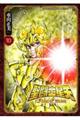 聖闘士星矢Final Edition 10