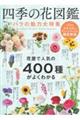 �l�G�̉Ԑ}�Ӂ@�o���̖��͑���W