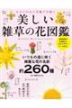 美しい雑草の花図鑑