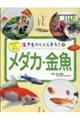 メダカ・金魚