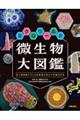 ミクロワールド微生物大図鑑