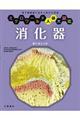 消化器 食べるしくみ