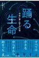 �x�鐶���[�F���ɋ��������̋L��