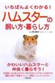 �����΂�悭�킩��I�n���X�^�[�̎������E��炵��