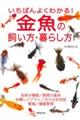 �����΂�悭�킩��I�����̎������E��炵��