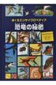 �߂���G���T�C�N���y�f�B�A�@�����̔閧
