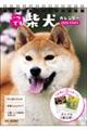���ł��Č��J�����_�[�@��㏑�����ݎ��m�a�U�^�e�n�y�r�R�z