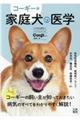 �R�[�M�[�ŉƒ댢�̈�w