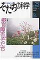 そだちの科学 25号