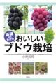 ��b����킩�邨�������u�h�E�͔|