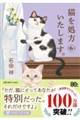 猫を処方いたします。6(仮)