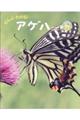 ぜんぶわかる!アゲハ