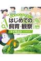 �C�����V�[�`���E�̂��ǂ��[
