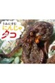 うみにすむ にんじゃ タコ