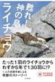 �S��I�_�̒����C�`���E