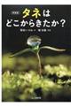 �^�l�͂ǂ����炫�����H�@�V����