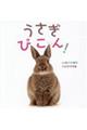 うさぎぴこん!