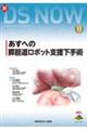 新DS NOW 11