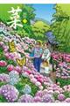 菜〜ふたたび〜 Complete Edition 2