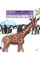 せぼねのある動物たち