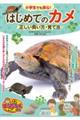 小学生でも安心!はじめてのカメ正しい飼い方・育て方
