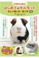 ���w���ł����S�I�͂��߂Ẵ������b�g�������������E��ĕ��@�V��