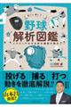 投げる捕る打つ野球解析図鑑