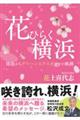 �ԂЂ炭���l�@�J�`����O���[���G�N�X�|�܂ł̋O��