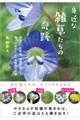 身近な雑草たちの奇跡