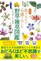 �F�Ō��킯�܊��Ŋy���ޖ쑐�E�G���}�Ӂ@�V��