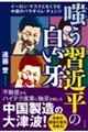 �o���K�ߕ��̔�����