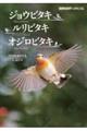 �W���E�r�^�L�E�����r�^�L�E�I�W���r�^�L