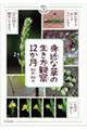 身近な草の生き方観察12か月