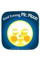 Good Evening Mr.Moon