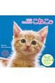 こねこカレンダー 2022
