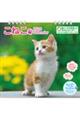 こねこカレンダー 2026