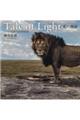 Tale of Light光の物語 TANNZANIA・SAVANNA篇